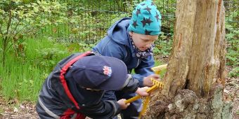 Bild: Kinder untersuchen Baum