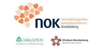 NOK Logo Synopsis