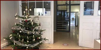 Weihnachtsbaum Weihnachtsbaum