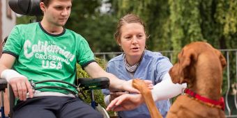 therapiehund Therapiehund Elmo