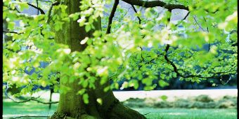 Bild: Psychotherapie in Bad Schwartau