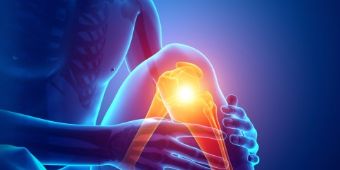 knie-shutterstock knie-shutterstock
