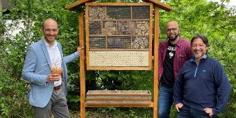 Insektenhotel Bild: Insektenhotel