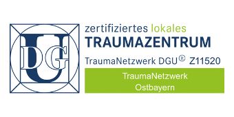 Logo: Traumanetzwerk