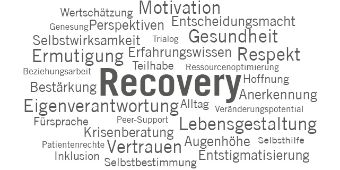 Bild Recovery