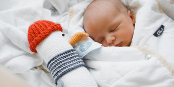 Baby Möwe Neugeborenes kuschelt mit der Möwe Toni