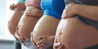 FOTO: vier schwangere Bäuche hintereinander