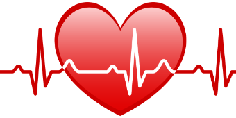 Herz + EKG Schema Herz + EKG
