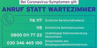Schaubild