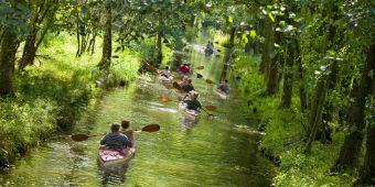 Kanufahrer fahren auf einem Fluss in der Natur