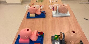 Das Motiv zeigt die Materialien für das Training