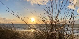 Das Motiv zeigt den Blick durch Dünengras auf Meer mit Sonnenuntergang.