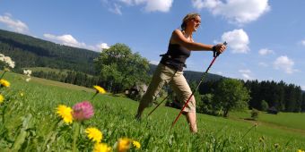 nordic-walking