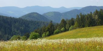 triberg-schwarzwald