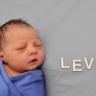 Levi