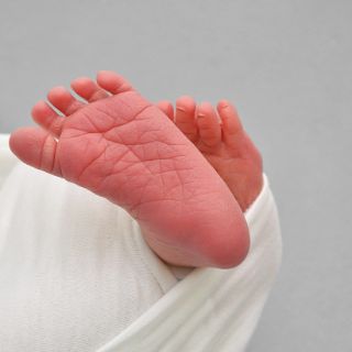 Pauline Charlotte Philipa