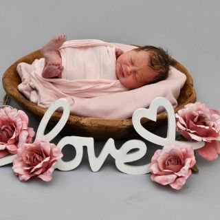 Anastasia Ioana Fedorcea