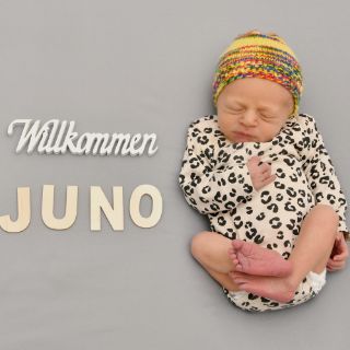 Juno Paul