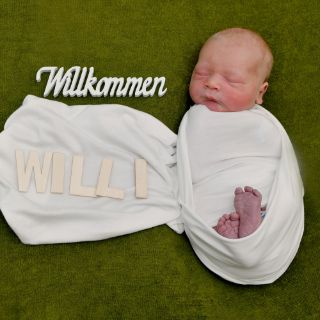 Willi