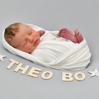 Theo Bo