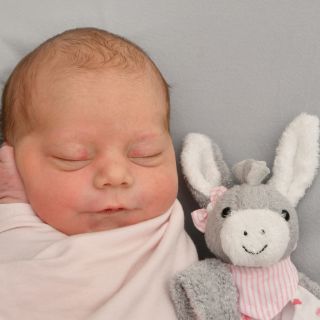 Paula Maria Pinto Plambeck