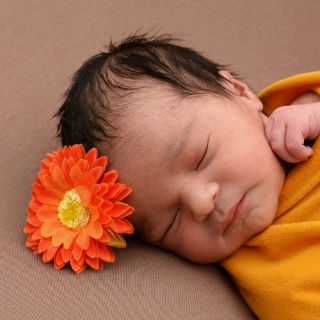 Isabella