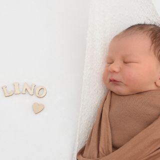Lino