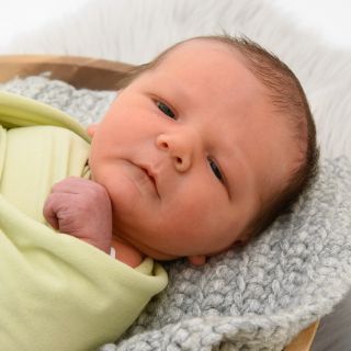Levi