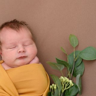 Luca Milan