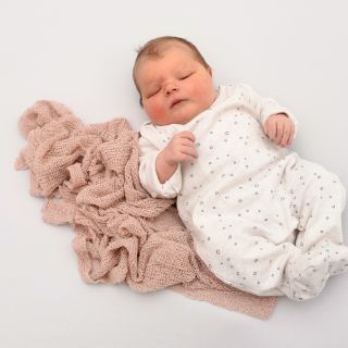 Josefine Amalia