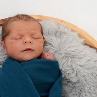 Felix