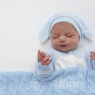Alp Aslan