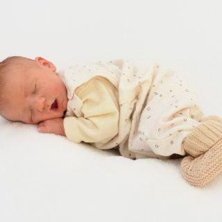 Noah Levi