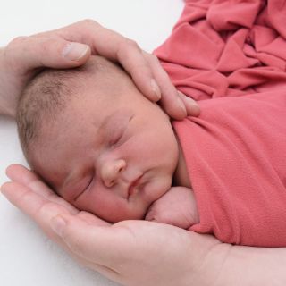 Lilia