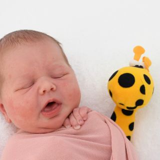 Lotta