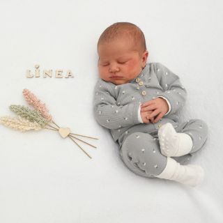 Linea