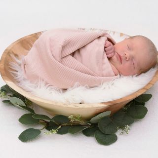 Sophia Lou