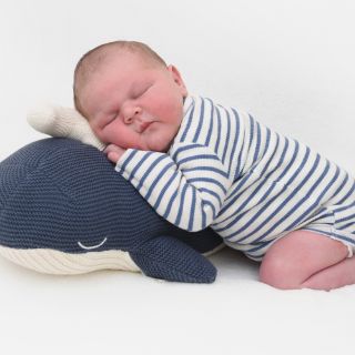 Matheo
