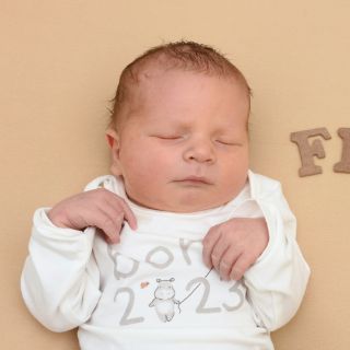 Finn