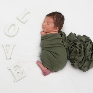 Jonte