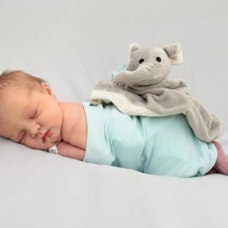 Luna Isabella