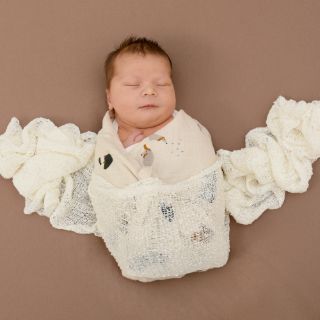 Carlotta