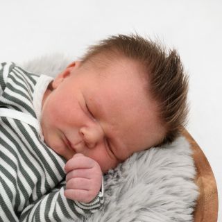 Nikolai
