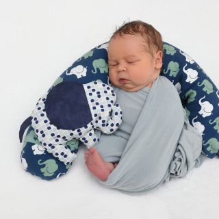 Henry Carl Christopher