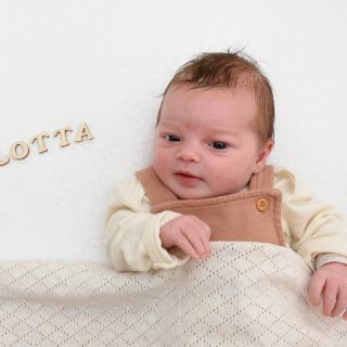 Lotta