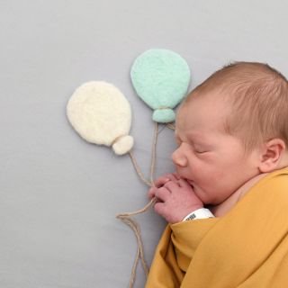 Theo Johannes