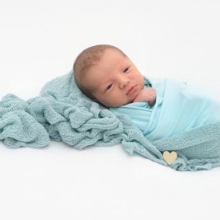 Maximilian Noah