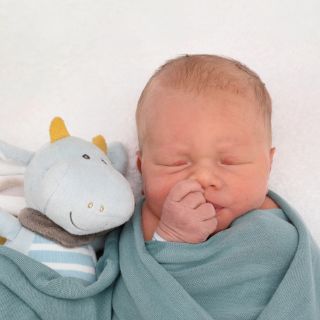 Damian David