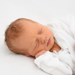 Frieda