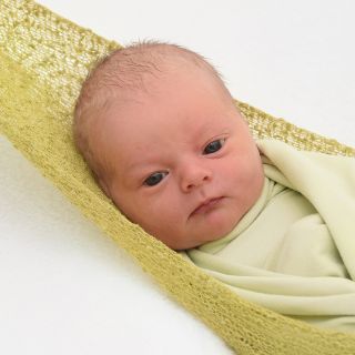Joost